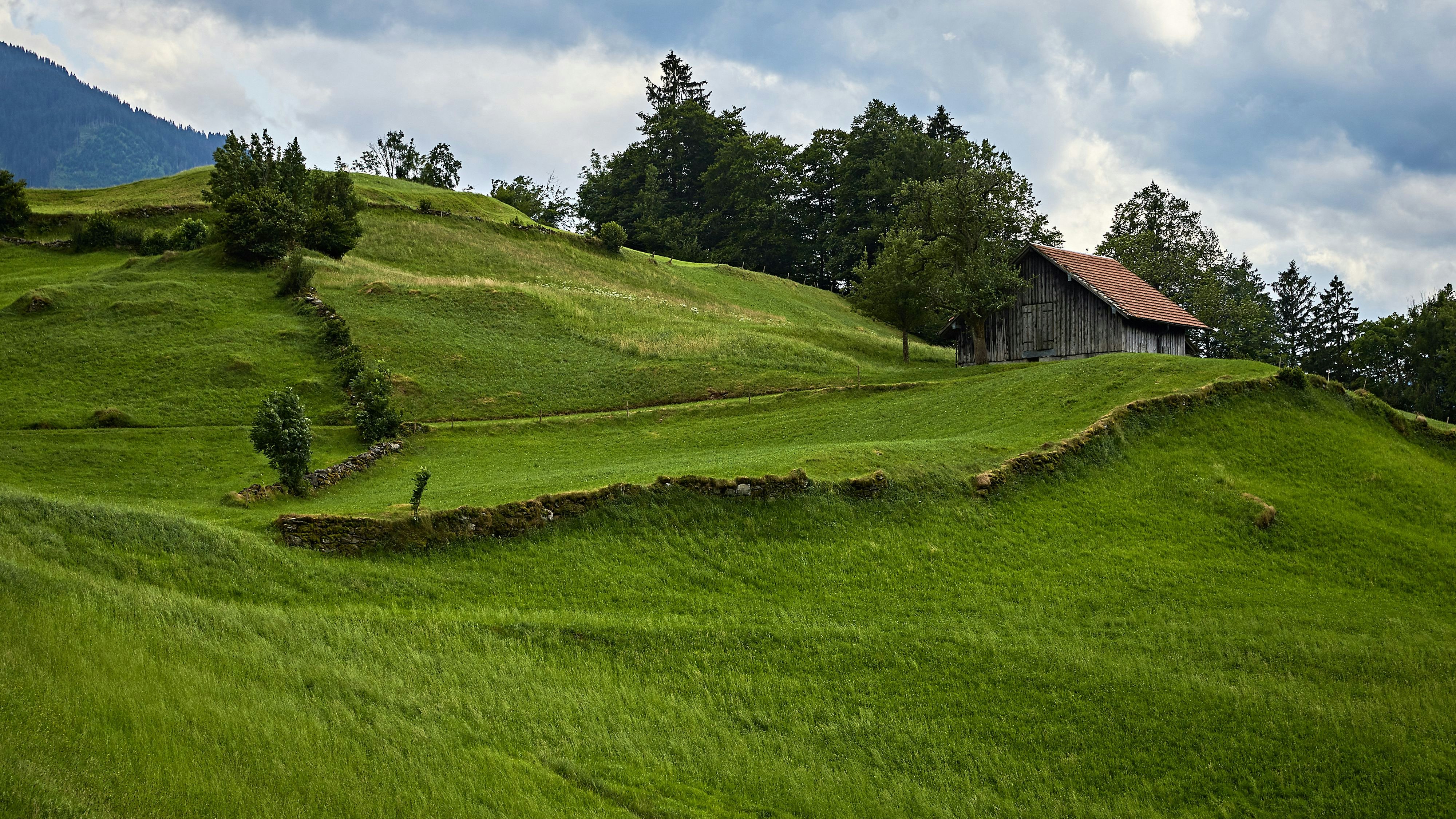 Prairie entretenue dans un terrain vallonné