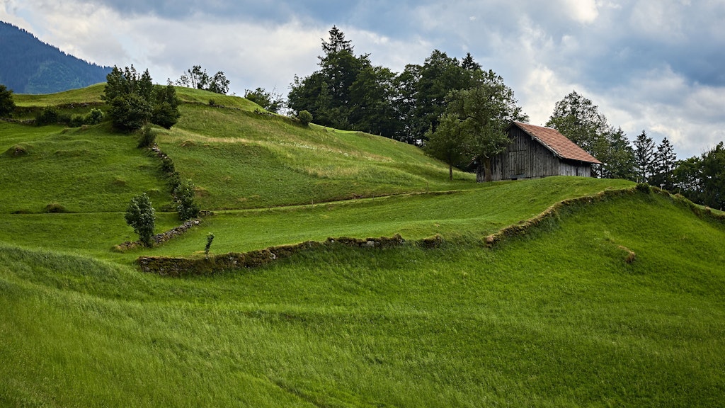 Prairie entretenue dans un terrain vallonné