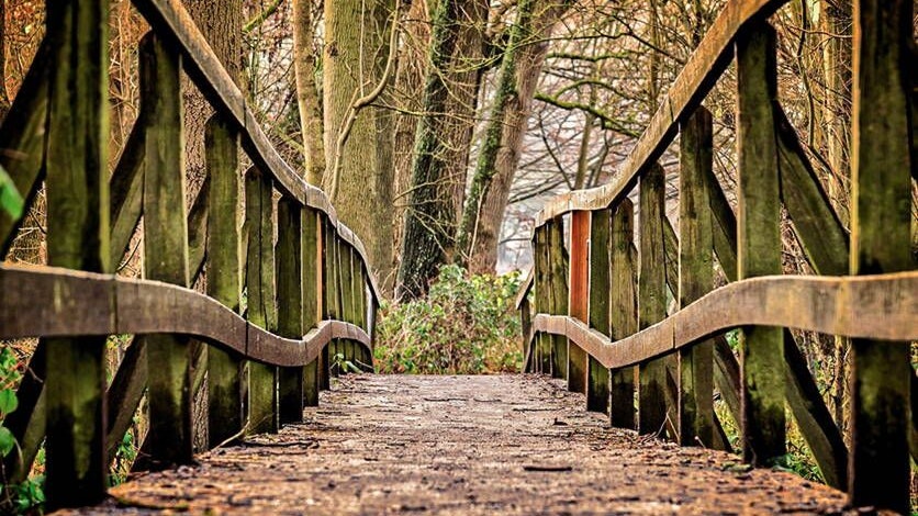 Ponte di legno