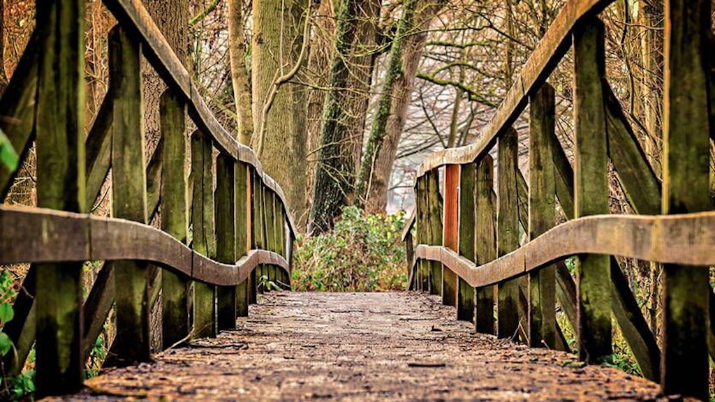 Pont en bois