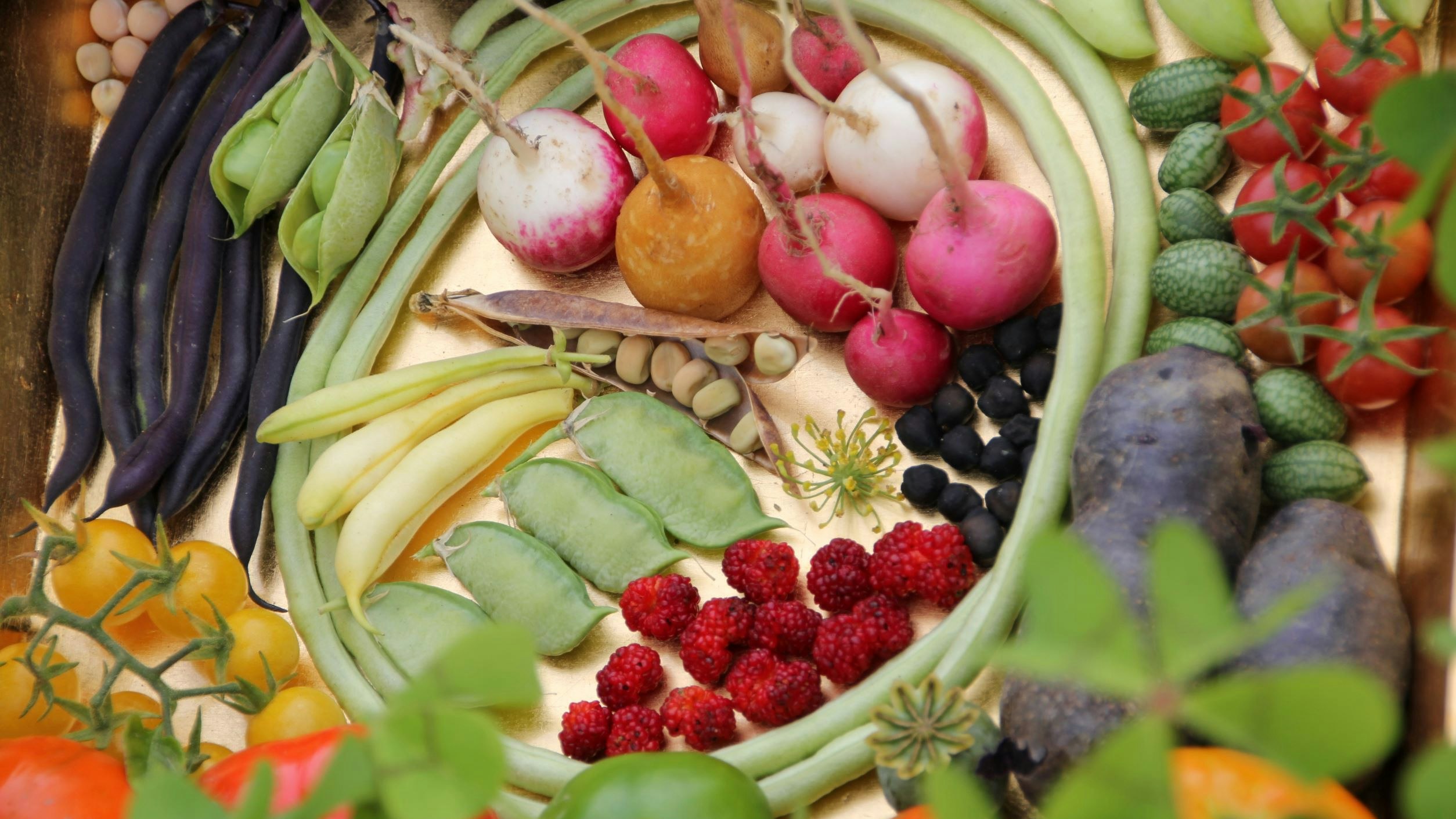 Plusieurs légumes sont arrangés de sorte à former une belle œuvre d’art. 