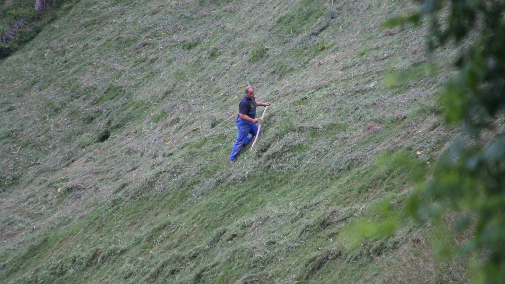 Landwirt im Steilhang von Hand am Heuen