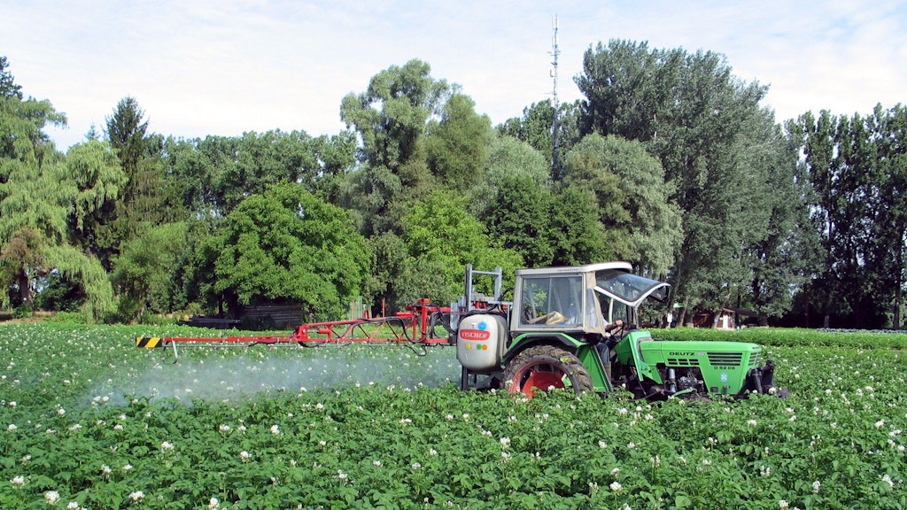 Ein Traktor bringt Pflanzenschutzmittel auf einem Kartoffelfeld aus.