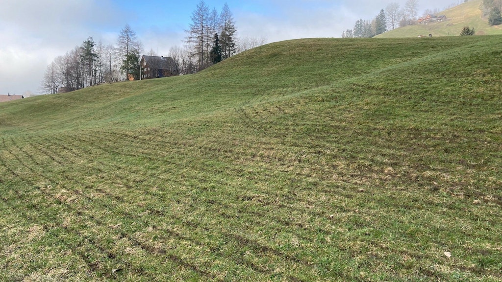 Traces laissées par des pendillards