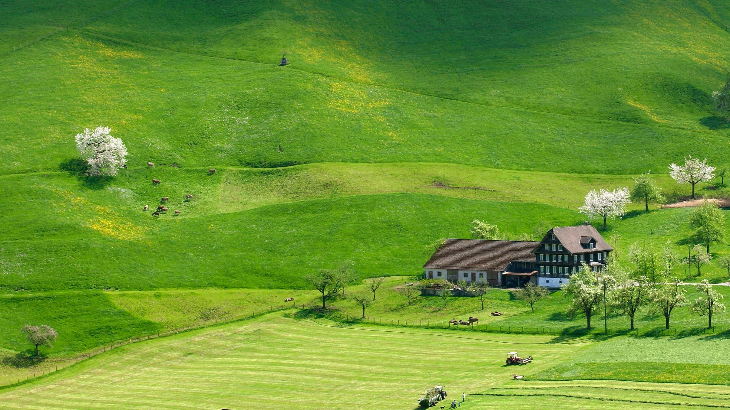 Ferme et paysage