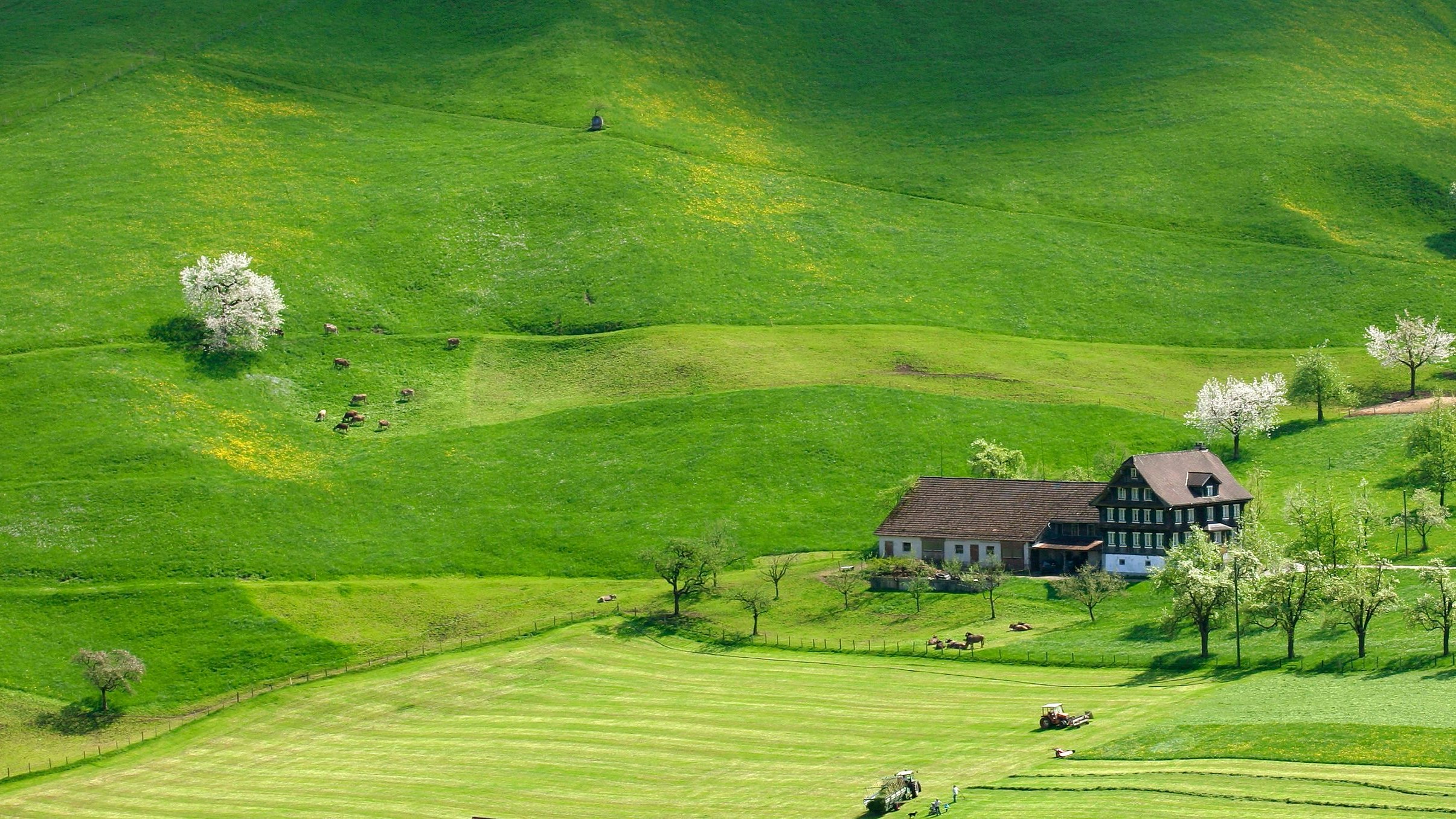 Hof und Landschaft