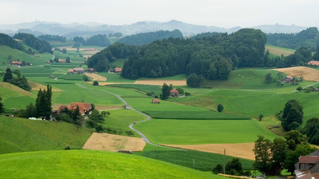 Weite Landschaft mit landwirtschaftlicher Fläche, Wald, Wiesen und Häusern