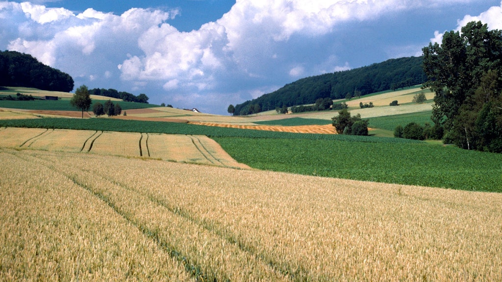 Aufziehende Wolken über einer Agrarlandschaft. Die Landwirtschaft ist stark vom Klimawandel betroffen