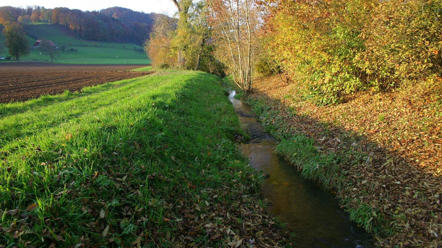 Corso d'acqua in prossimità di aziende agricole.