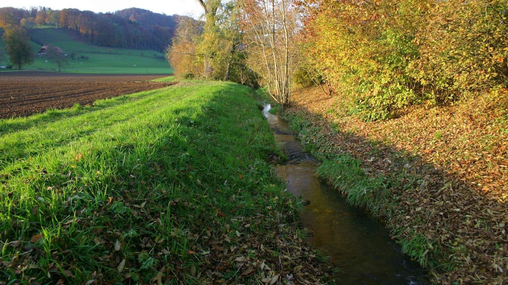 Wasserläufe in landwirtschaftlichen Gebieten