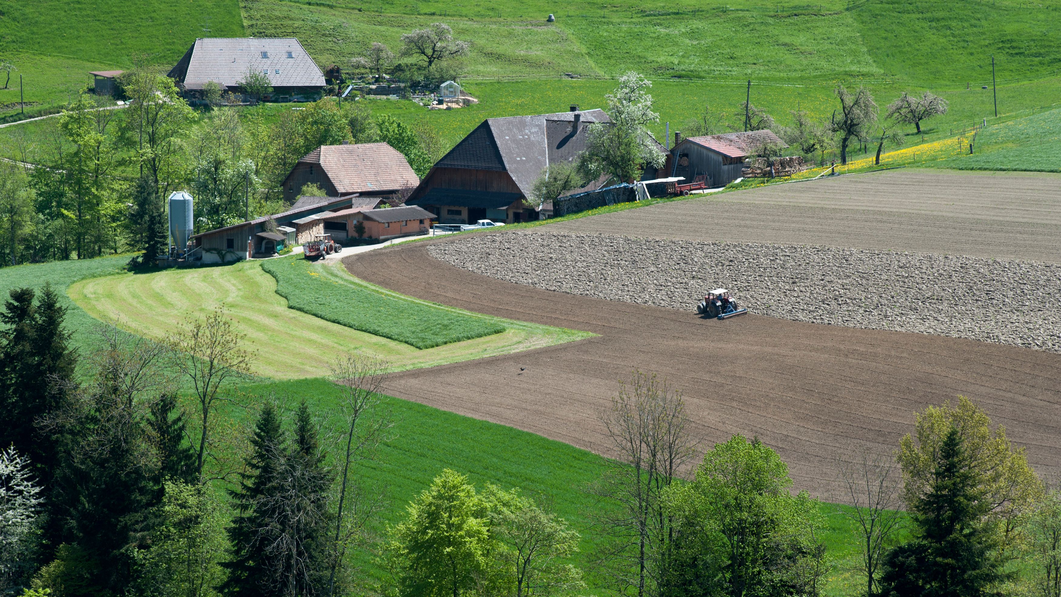 Agrarlandschaft mit Feldern, Bauernhäusern, Wiesen und Bäumen