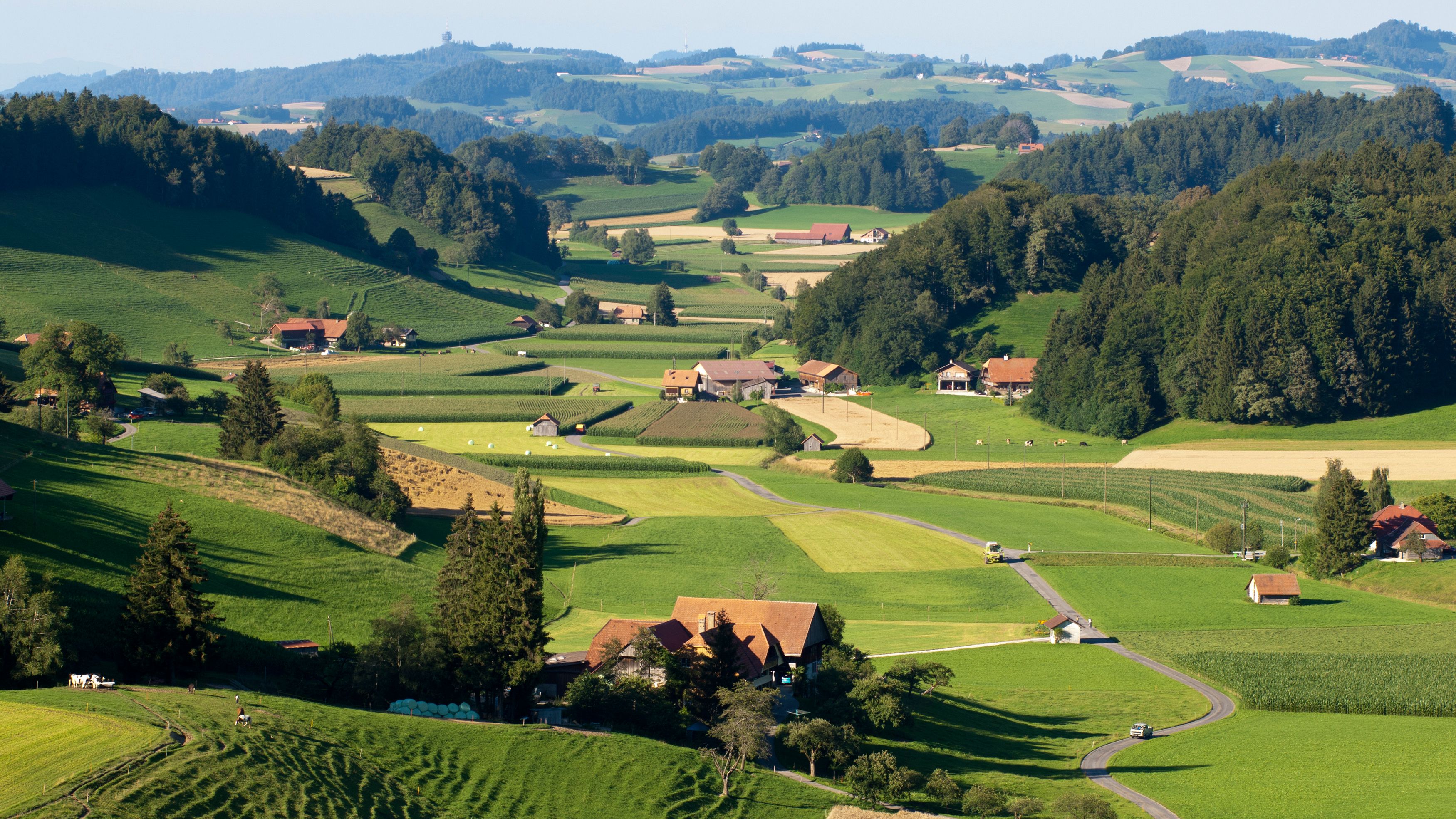 Vasto paesaggio con terreni agricoli, abitazioni e allevamenti