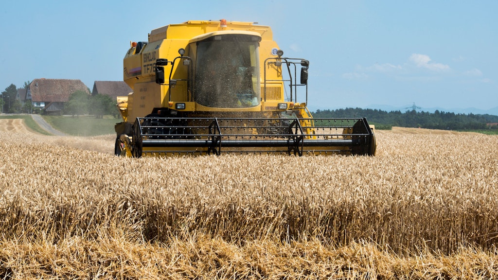 Champ de céréales en cours de moissonnage par une moissonneuse-batteuse