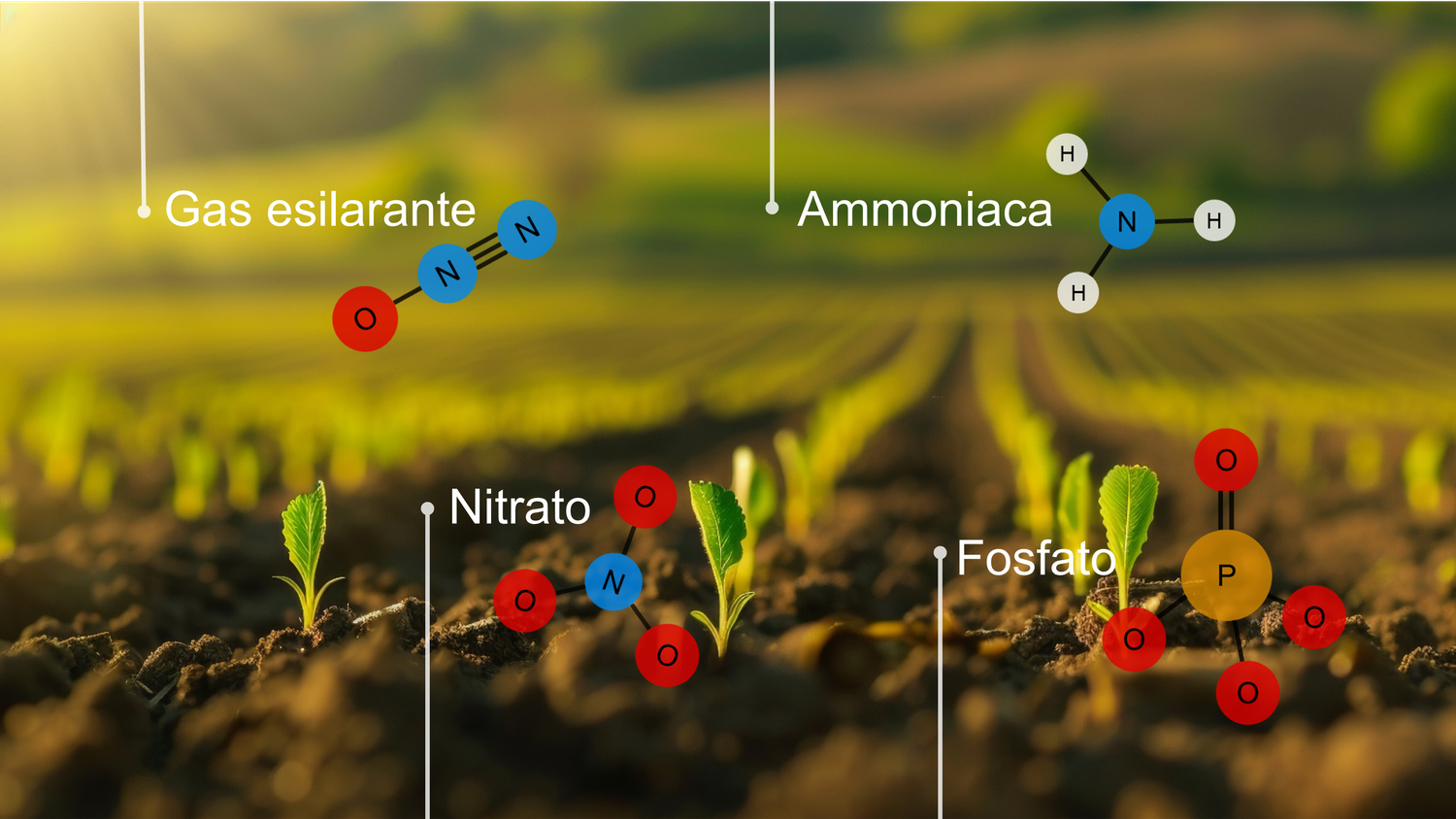 Il nome e la formula strutturale del protossido di azoto (N2O), del nitrato (NO3), dell'ammoniaca (NH3) e del fosfato (PO4) sono mostrati sopra un campo con piantine.