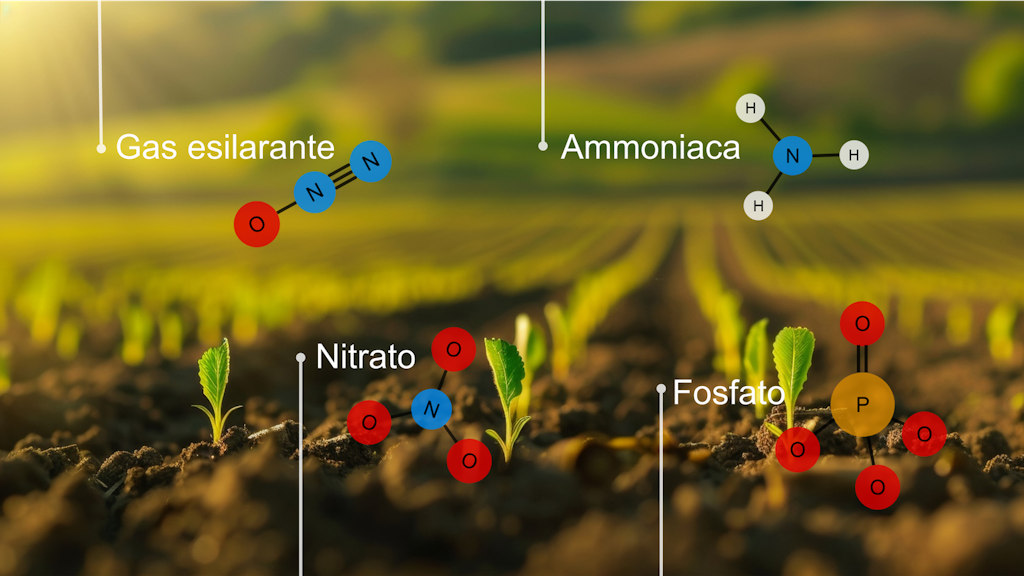 Il nome e la formula strutturale del protossido di azoto (N2O), del nitrato (NO3), dell'ammoniaca (NH3) e del fosfato (PO4) sono mostrati sopra un campo con piantine.