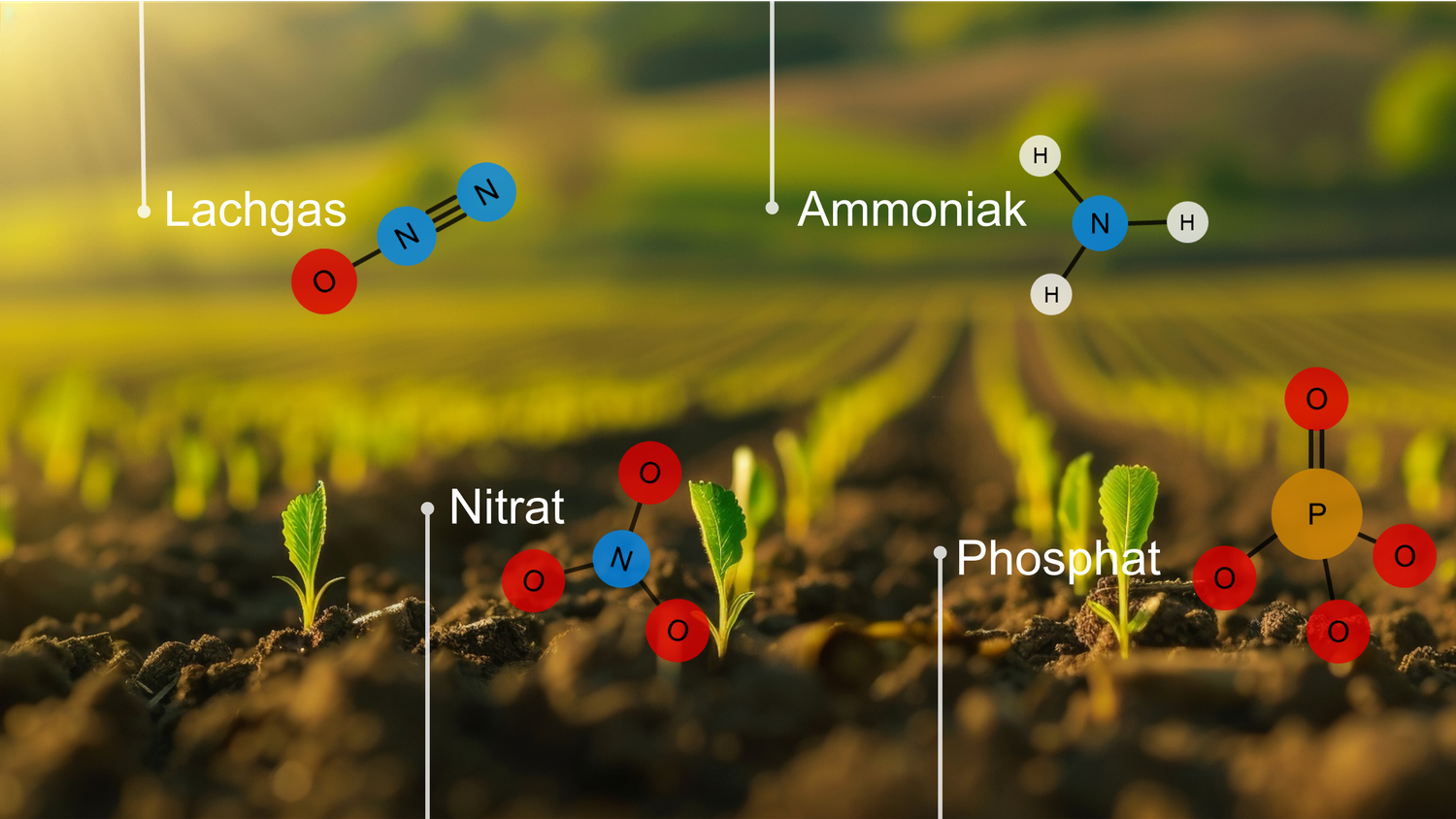 Über einem Feld mit Setzlingen ist jeweils der Name sowie die Strukturformel von Lachgas (N2O), Nitrat (NO3), Ammoniak (NH3) und Phosphat (PO4) abgebildet.