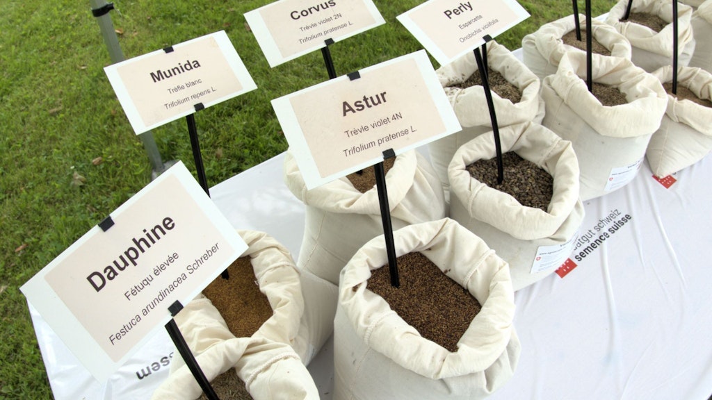 Chaque sachet contient des semences. Une étiquette sur le sachet décrit l’espèce et la variété de la plante fourragère.