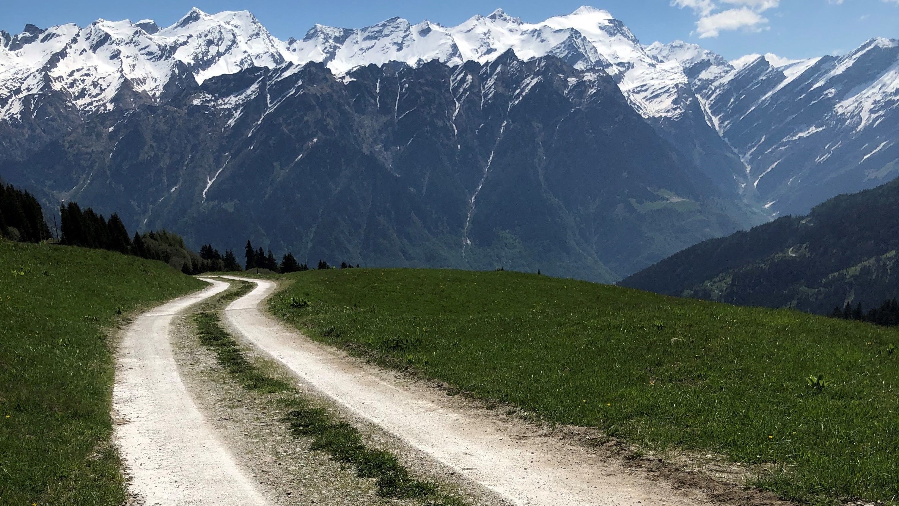 Lichtweg mit Betonlaufstegen in einer Weide vor einem Alpenpanorama.
