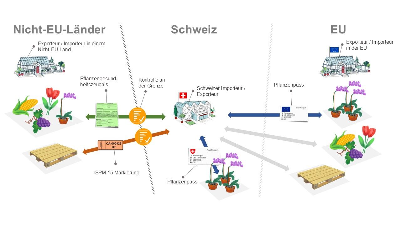 Geltungsbereich des Pflanzenpass-Systems.