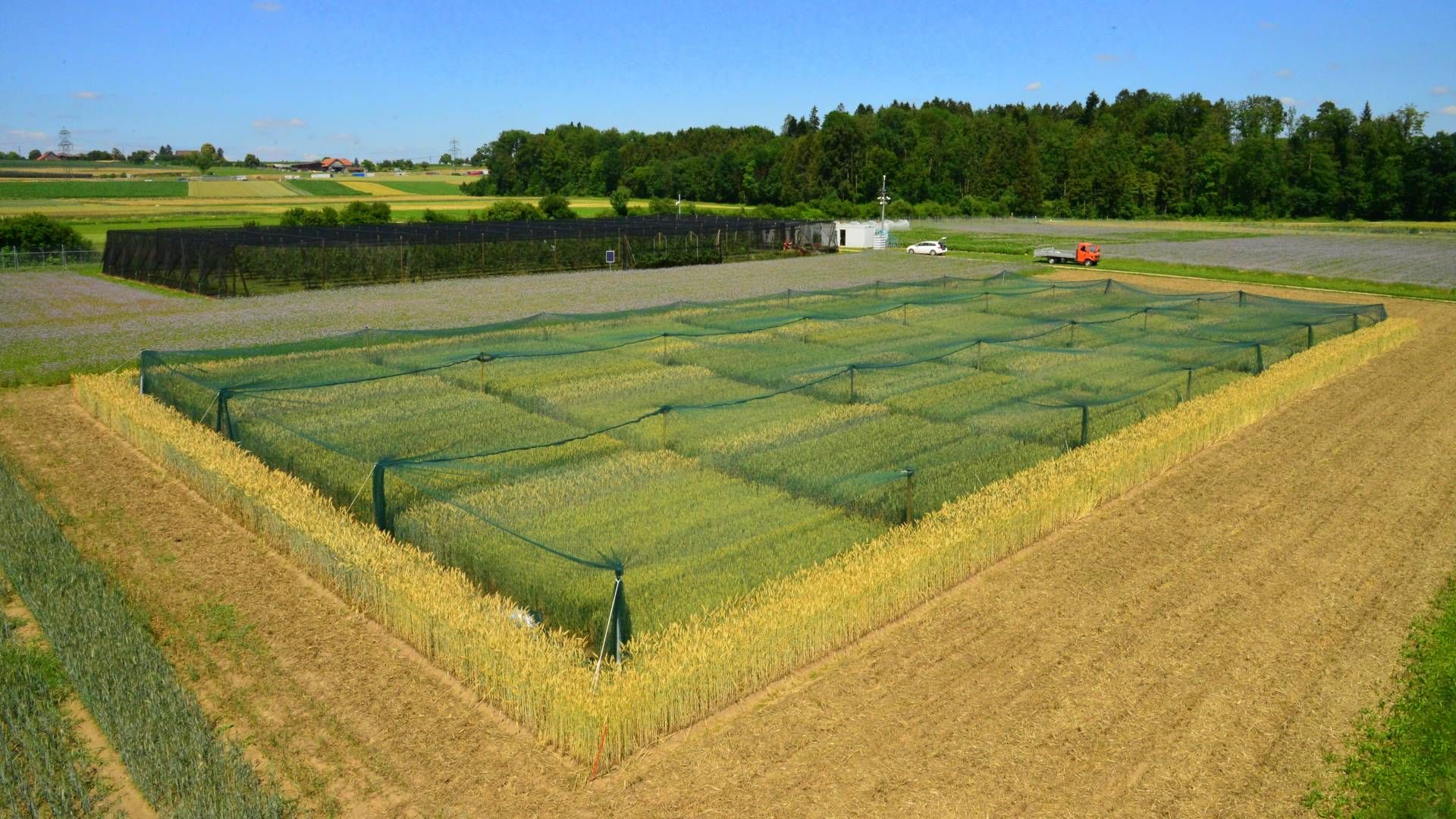 Luftaufnahme der Protected site