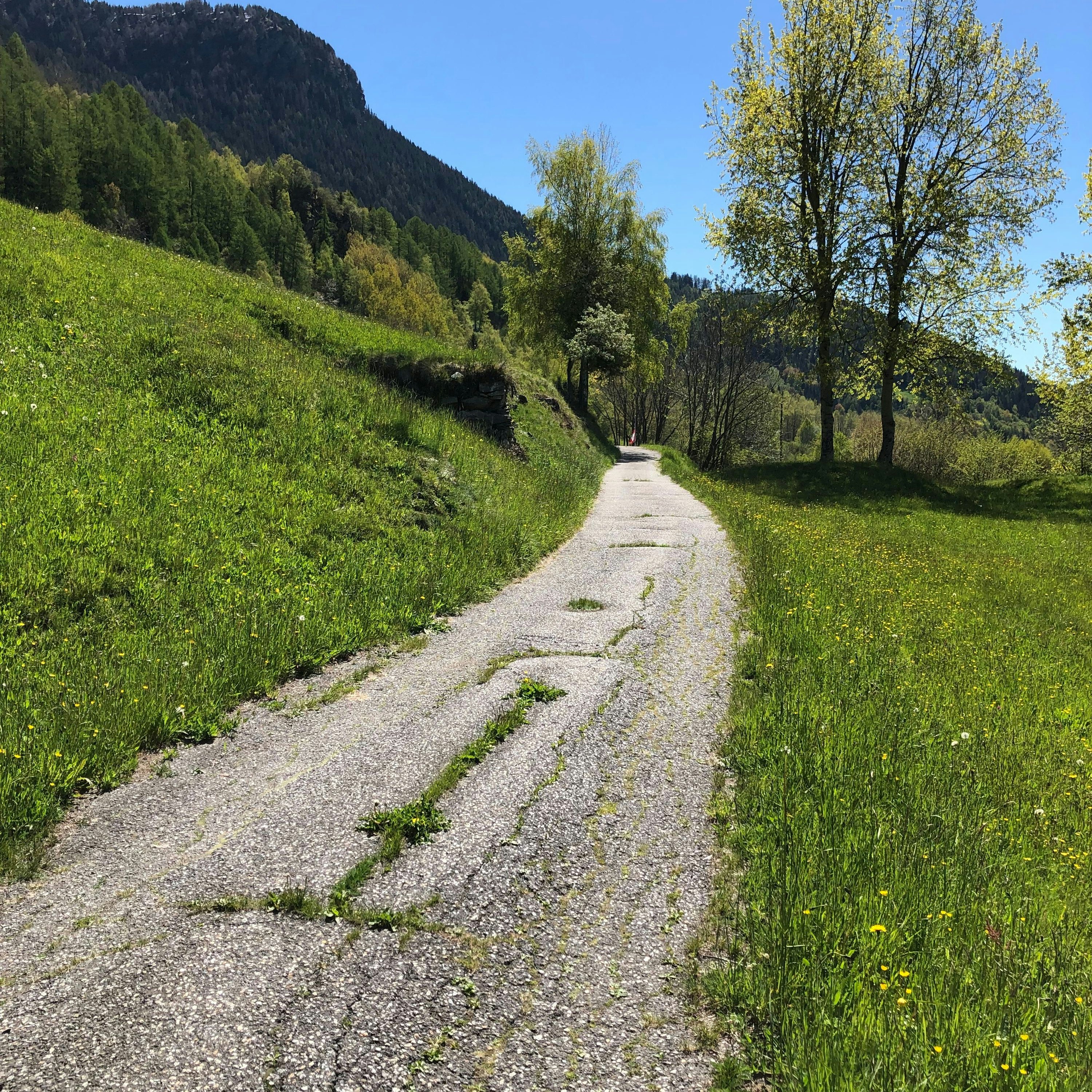 Schmaler landwirtschaftlicher Weg mit bituminösem Belag quer zum Hang, mit Löchern, in denen Gras wächst.