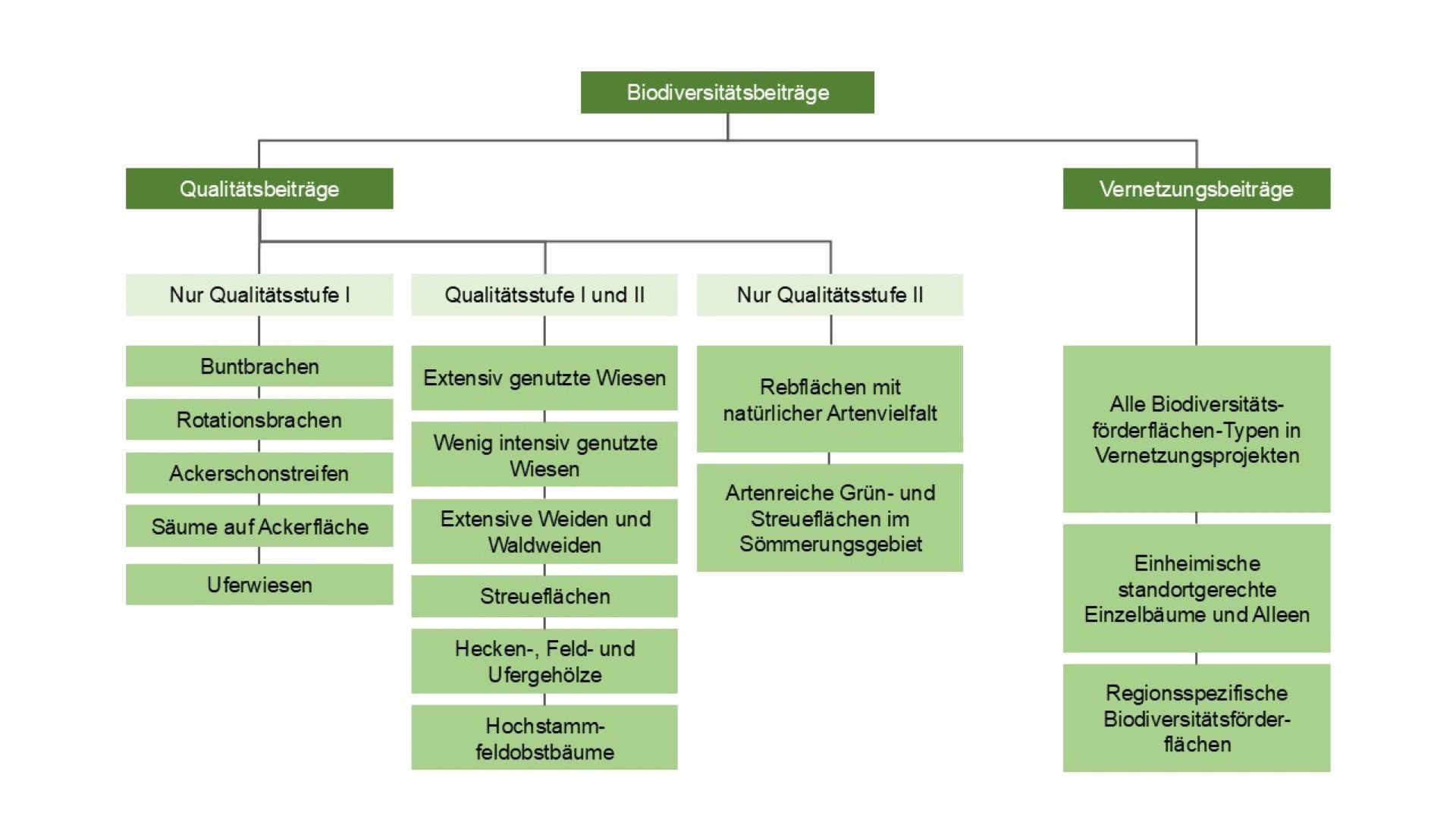 Die Grafik gibt einen Überblick über die verschiedenen Typen von Biodiversitätsbeiträgen. Diese Setzen sich aus Qualitätsbeiträgen und Vernetzungsbeiträgen zusammen. 