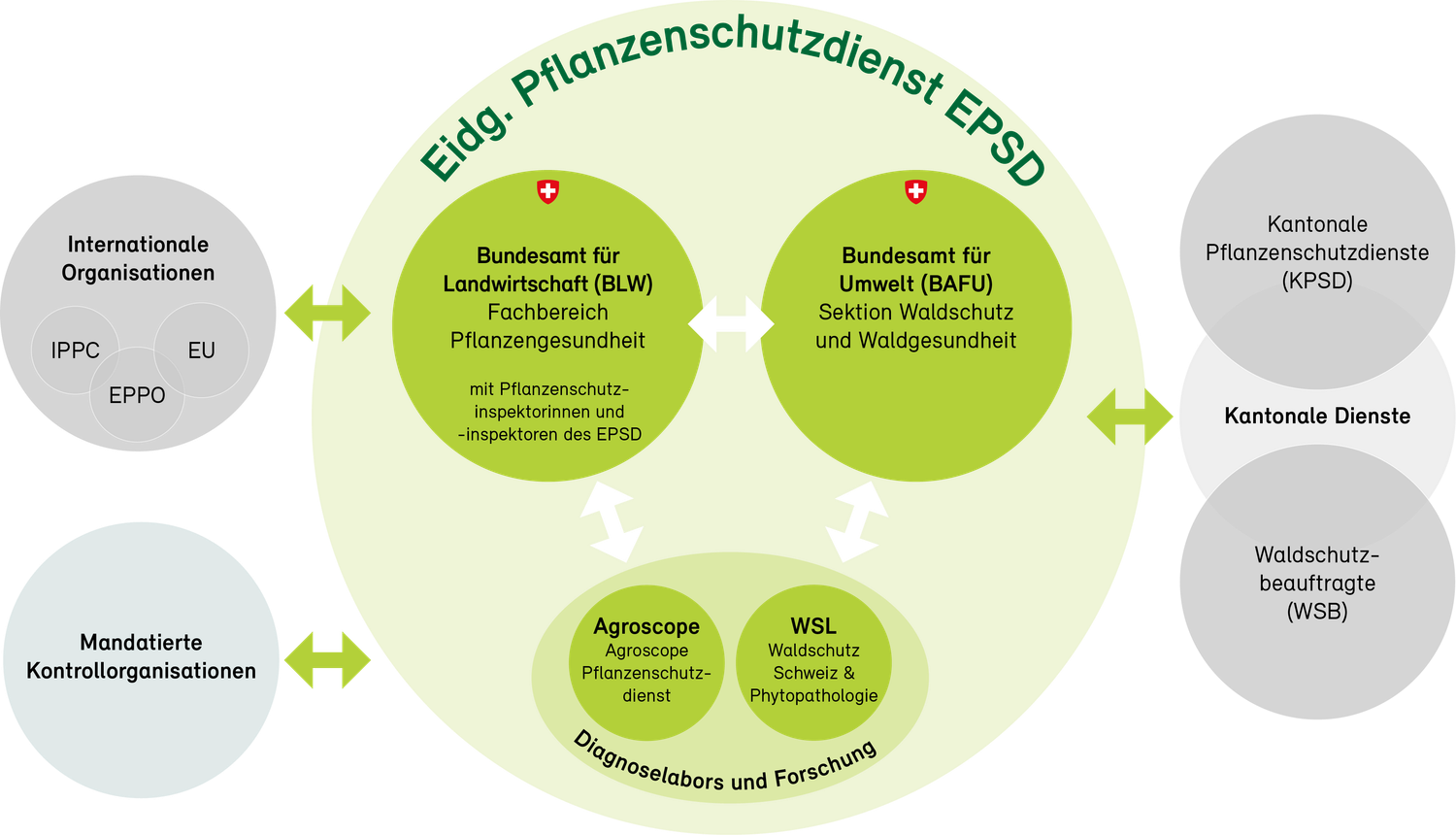 Organisationsschema des Eidgenössischen Pflanzenschutzdienstes