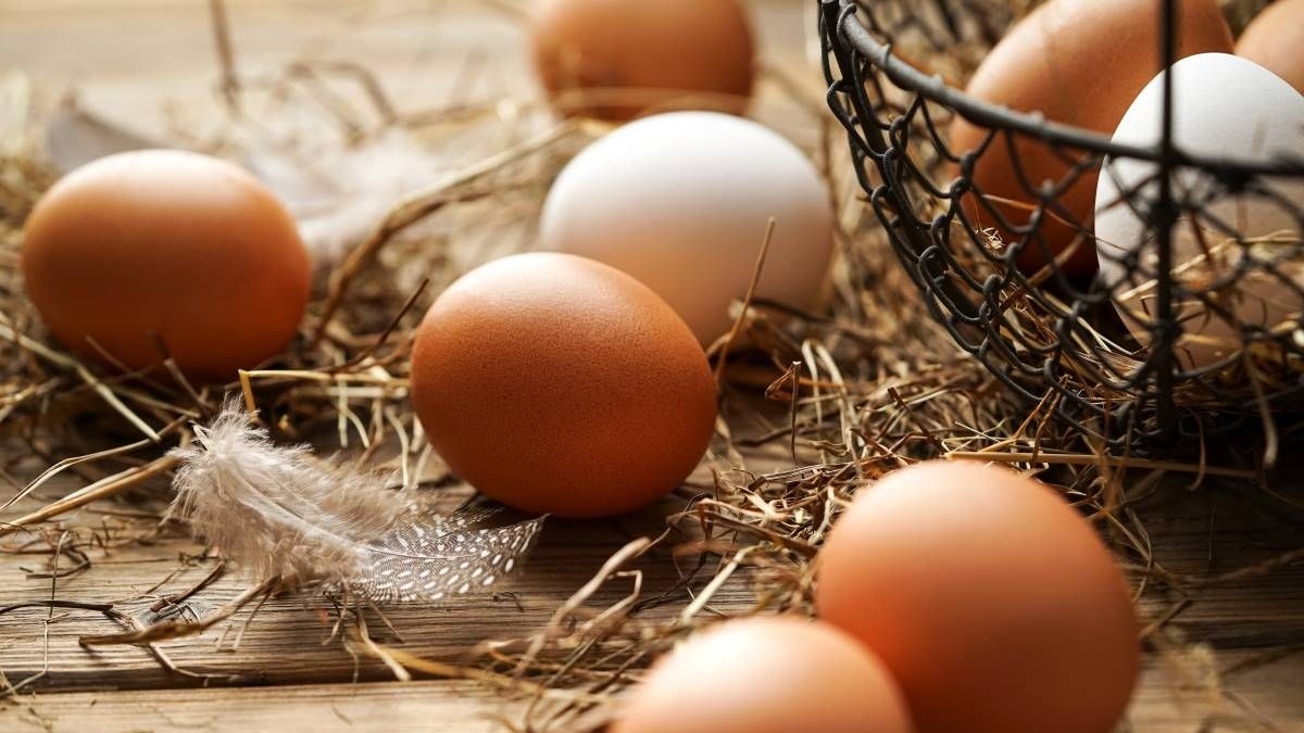 Eier auf einem Tisch und in einem Korb