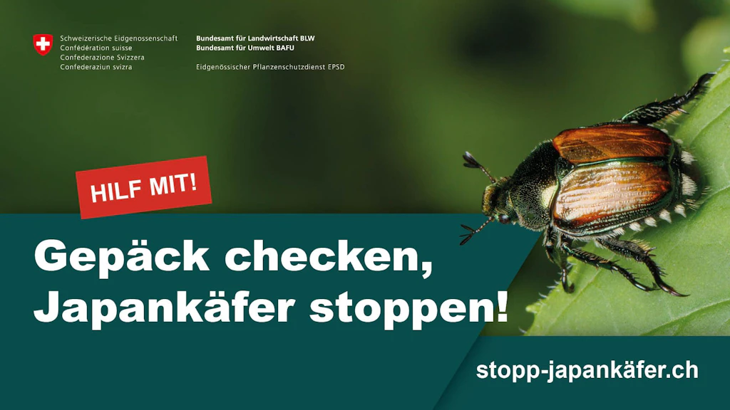 Japankäfer Kampagne BLW 2026