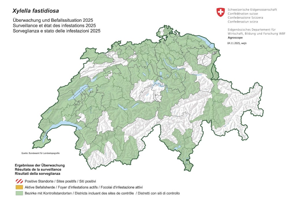 Abschlusskarte Überwachung und Befallssituation Feuerbakterium 2025