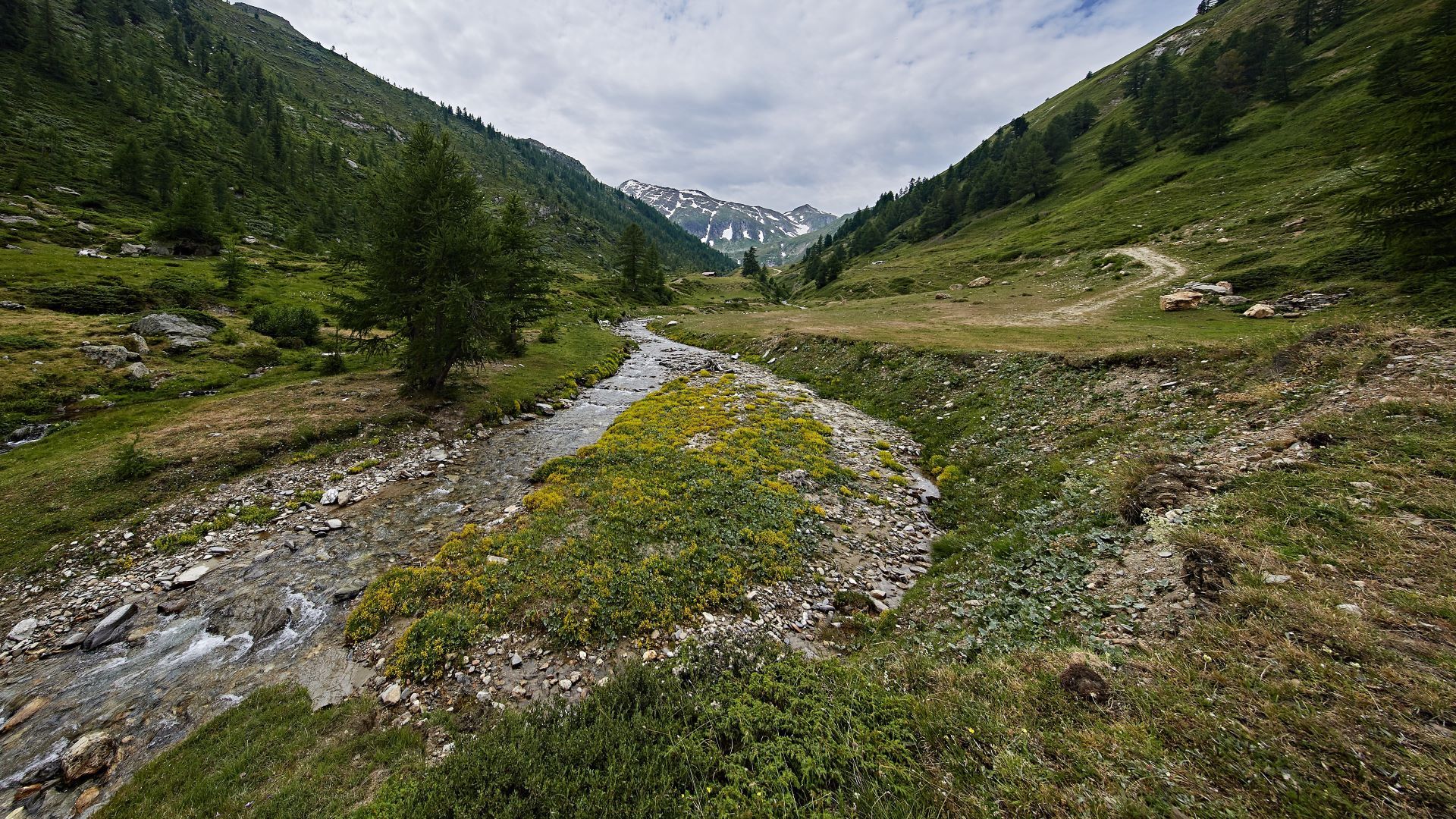 Sömmerungsgebiet im Saflischtal. Ein kleiner Fluss mit umligenden Weideflächen