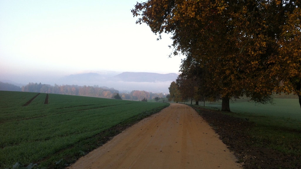 Sanierter Mergelweg im Flüelerfeld, Gemeinde Kappel