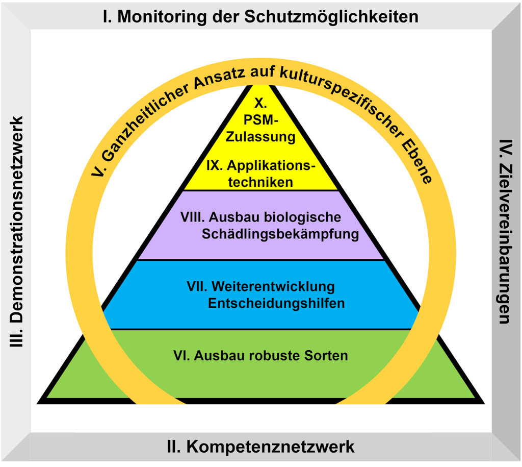 Das Konzept der zehn vorgesehenen Massnahmen. In einem grauen, quadratischen Rahmen sind die vier Massnahmen zur Verbesserung der Rahmenbedingungen aufgeführt: I. Monitoring der Schutzmöglichkeiten, II. Kompetenznetzwerk, III. Demonstrationsnetzwerk und IV. Zielvereinbarungen. Innerhalb des grauen Rahmens befindet sich ein oranger Konturkreis, auf dem die Massnahme zur Stärkung des integrierten Pflanzenschutzes steht: V. Ganzheitlicher Ansatz auf kulturspezifischer Ebene. Innerhalb des orangen Konturkreises befindet sich eine Pyramide, auf der die fünf spezifischen Massnahmen aufgeführt sind: VI. Ausbau robuste Sorten (unterste Stufe, hellgrün hinterlegt), VII. Entwicklung Entscheidungshilfen (zweite Stufe, hellblau hinterlegt), VIII. Ausbau biologische Schädlingsbekämpfung (dritte Stufe, lila hinterlegt), IX. Applikationstechniken und X. PSM-Zulassung (beide vierte Stufe und gelb hinterlegt).