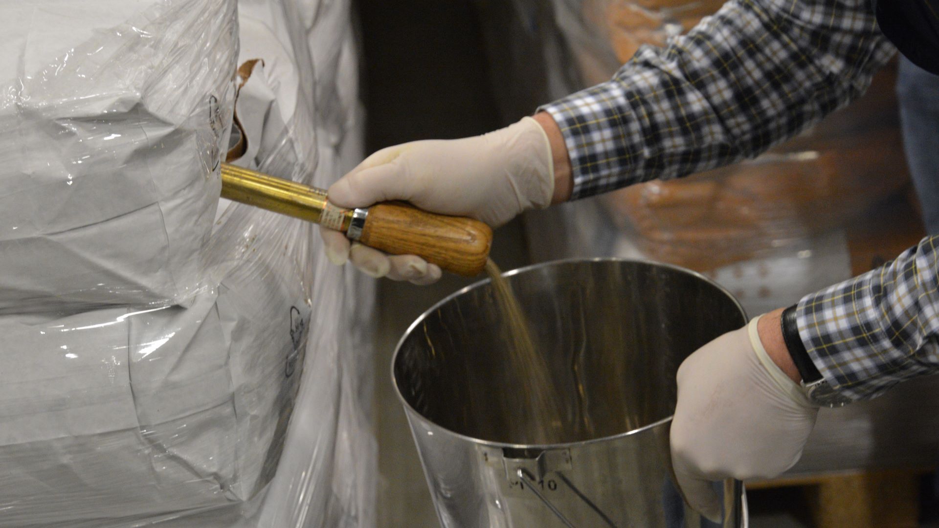 Der Probenstecher entnimmt Saatgut aus einer Verpackung. Das Saatgut fällt in einen Eimer.