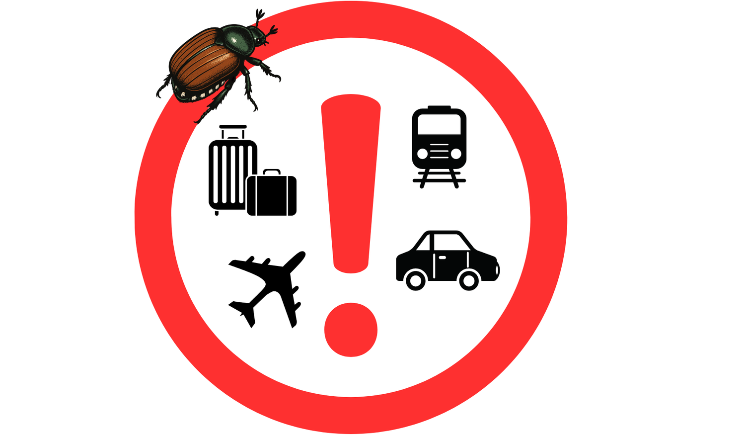 Japankäfer können als "blinde Passagiere" zum Beispiel in autos, Zügen, Lastwagen und Flugzeugen mitreisen.