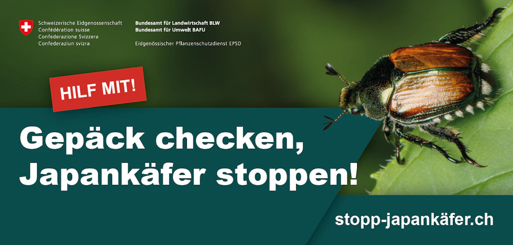 Kampagnenvisual vom BLW mit Nahaufnahme eines Japankäfers auf einem grünen Blatt mit Slogan: «Gepäck checken, Japankäfer stoppen!» und rotem Banner mit der Aufschrift «Hilf mit!»