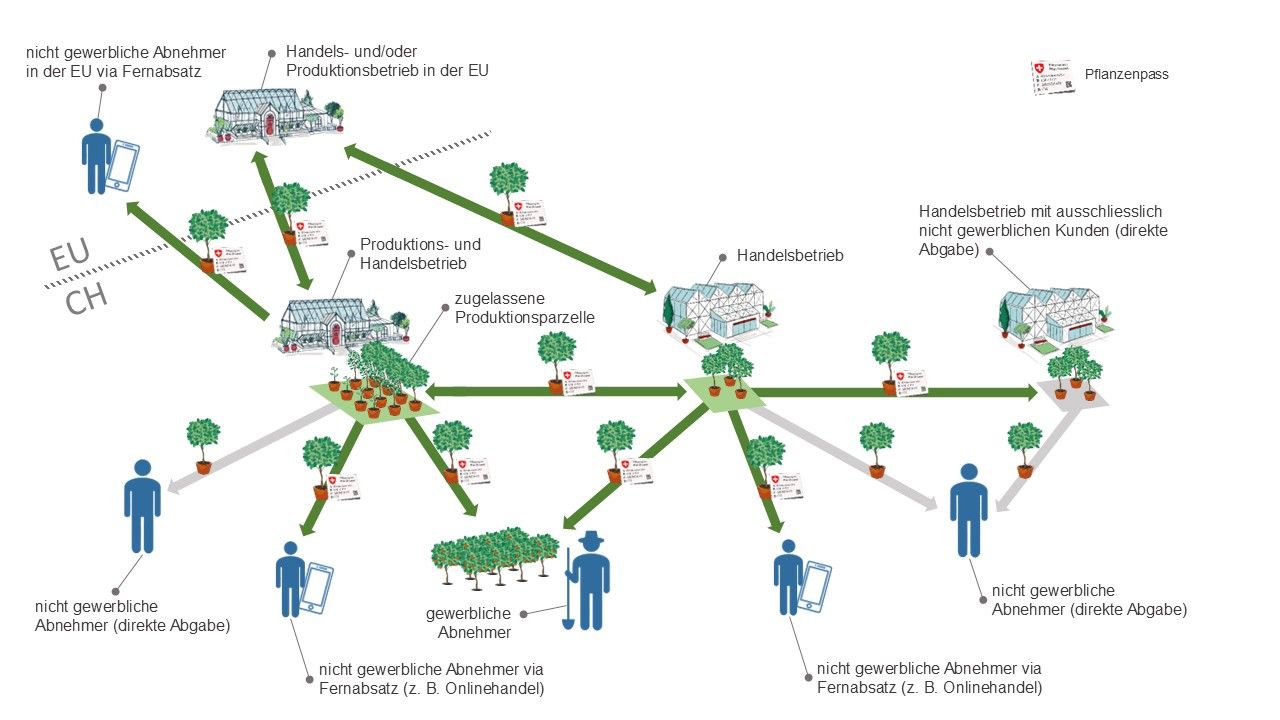 Grafische Darstellung zum Pflanzenpass-System.