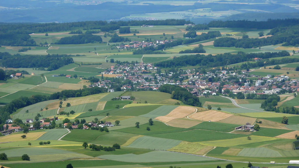 DZ Ganzjahresbetriebe