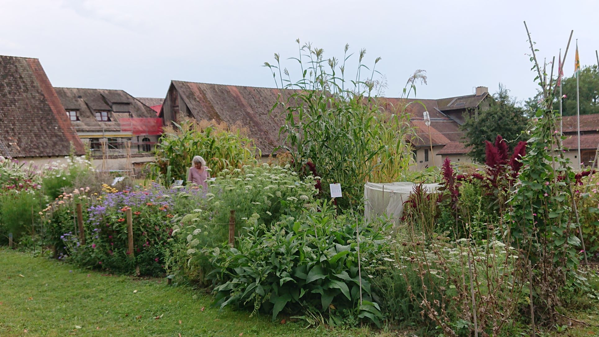 Der Schaugarten in der Kartause Ittingen blüht in voller Pracht