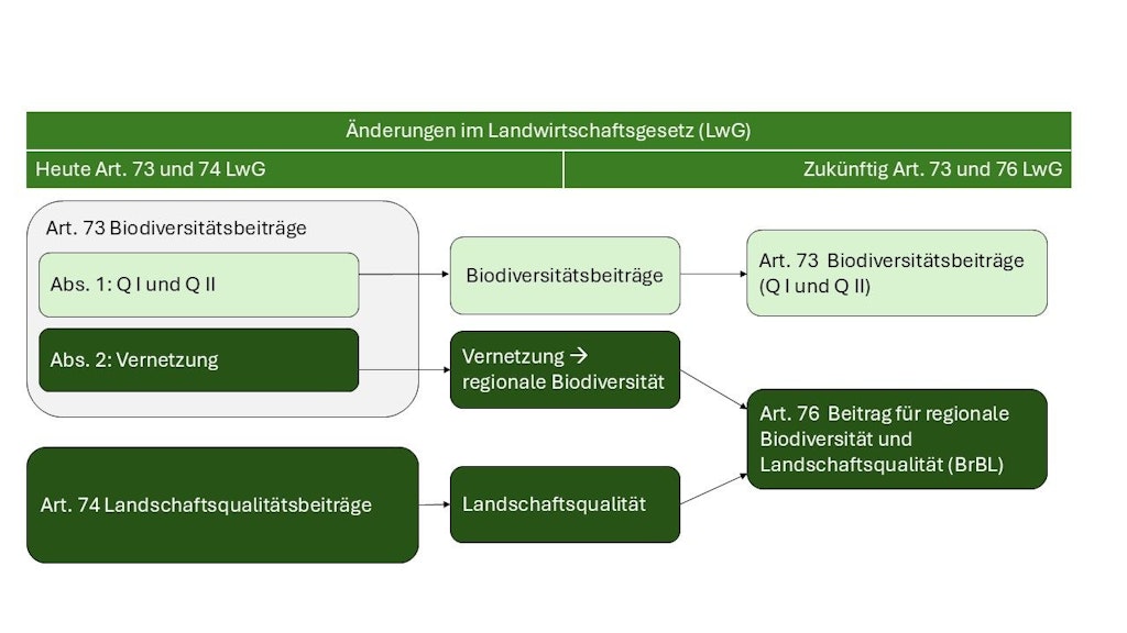 Mit dem BrBL entsteht ein neues Förderinstrument (Art. 76 LwG), welches die Beiträge für Vernetzung (Art. 73 Abs. 2 LWG) und Landschaftsqualität (Art. 74 LWG) ersetzt. Die Biodiversitätsbeiträge (QI und QII) bestehen weiterhin gemäss Art. 73 LWG.