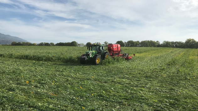 Ein Traktor auf einer Wiese am Mähen