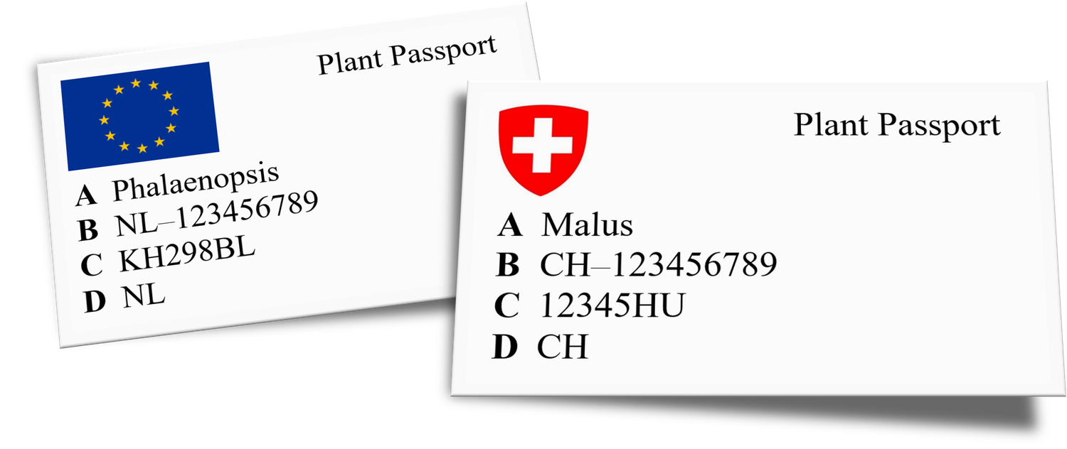 Plant passport CH-EU