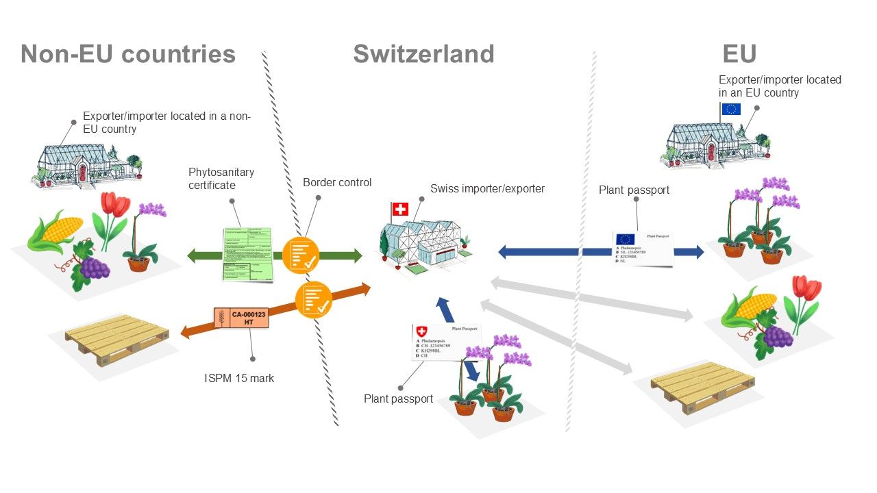 Visual representation of the plant passport system