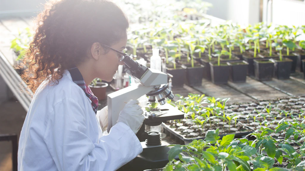 Young biologist looking at microscope with seedlings around her in greenhouse.
