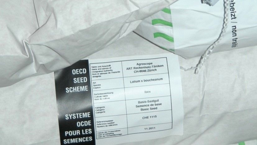 Seed bags stacked on top of each other and labelled with an OECD label for export.