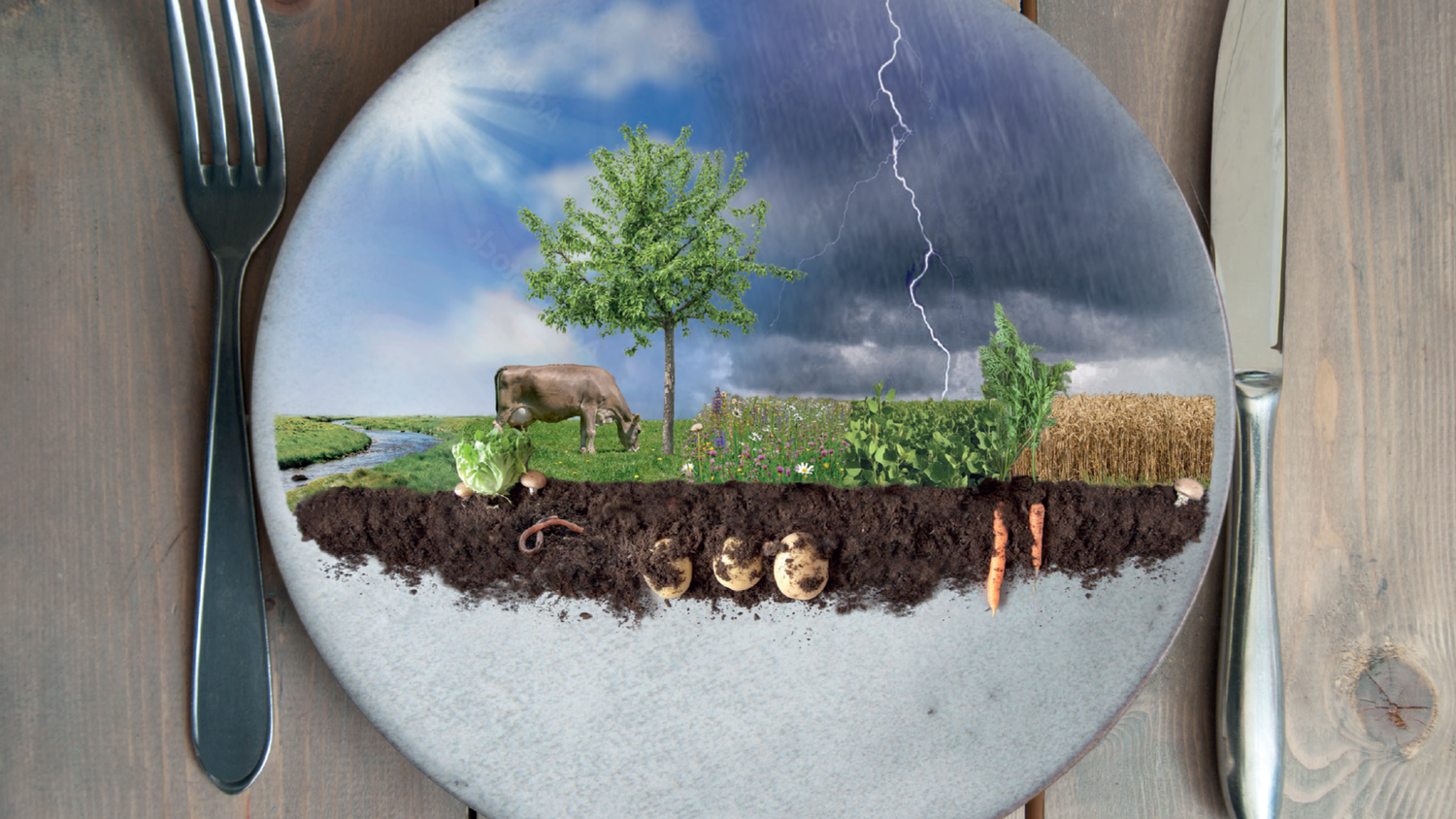 A miniature agricultural system is depicted on a plate on a wooden table. It symbolises the connection between agriculture and nutrition. A fork and a knife are placed on either side of the plate. The top half of the plate shows a landscape with a tree, a cow grazing, a stream and various crops. In the background, there is both sunshine and a thunderstorm in the sky, representing the climate. The bottom half of the plate shows things below the surface such as soil, roots, carrots, potatoes and an earthworm.