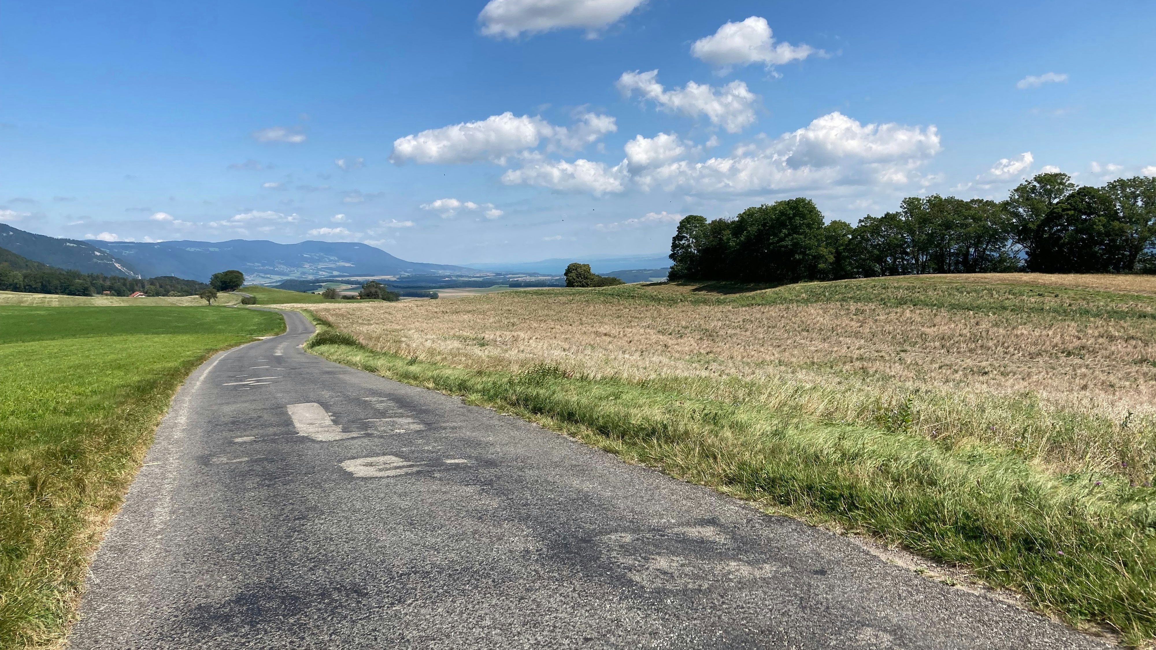 Chemin agricole dans une zone de grandes cultures avec un revêtement bitumineux convexe. La surface présente de nombreux trous.