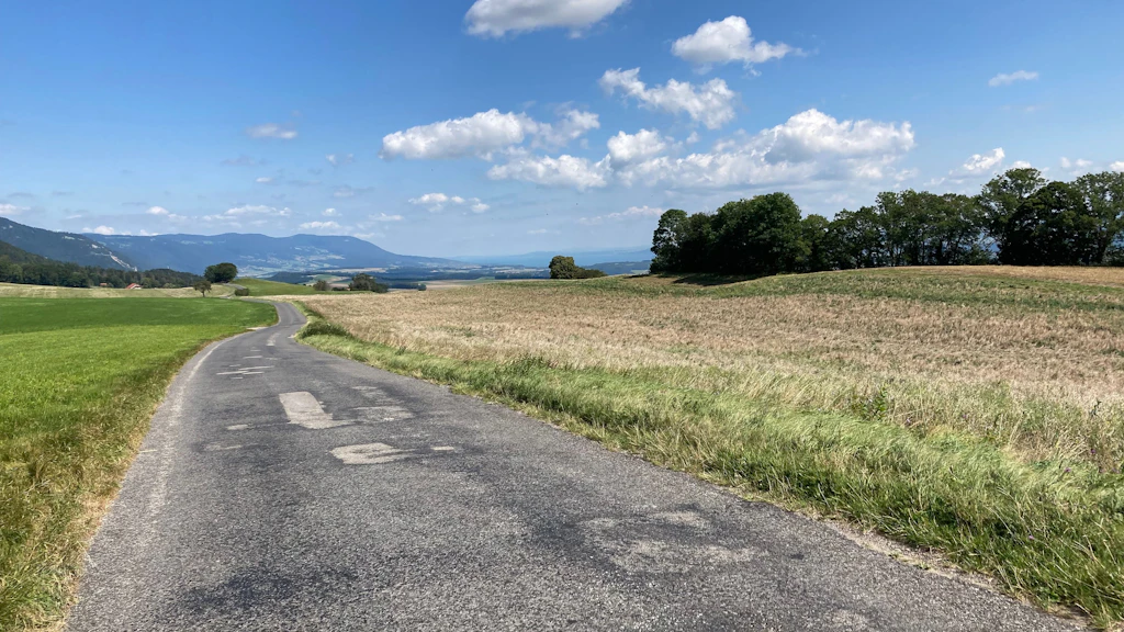 Chemin agricole dans une zone de grandes cultures avec un revêtement bitumineux convexe. La surface présente de nombreux trous.