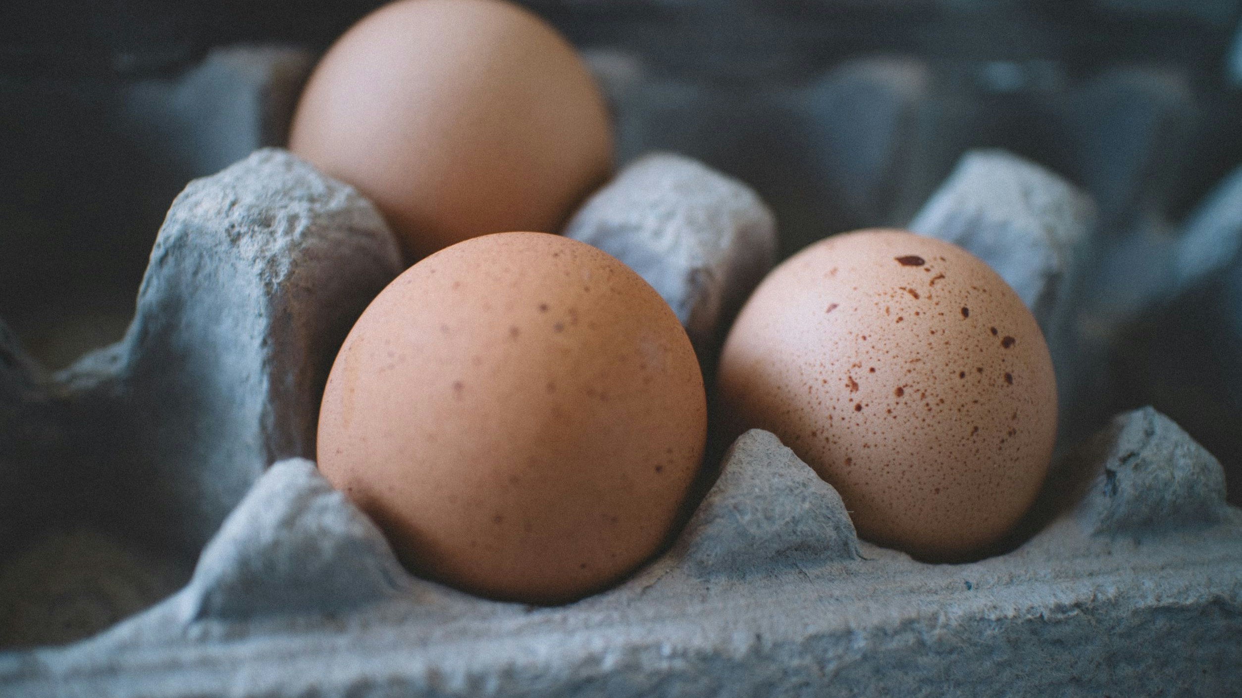 Trois oeufs posés dans un emballage en carton