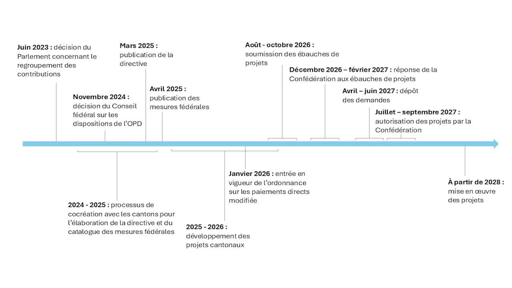 Calendrier du processus de développement jusqu’à l’introduction de la contribution CBrP. Les principales étapes sont : juin 2023 – décision du Parlement sur le regroupement des contributions, novembre 2024 – décision du Conseil fédéral sur les dispositions de l’OPD, mars 2025 – publication de la directive, avril 2025 – publication des mesures fédérales, janvier 2026 – entrée en vigueur de l’ordonnance sur les paiements directs modifiée, août à octobre 2026 – soumission des ébauches de projets, décembre 2026 à février 2027 – réponse de la Confédération aux ébauches de projets, avril à juin 2027 – soumission des demandes, juillet à septembre 2027 – approbation des projets par la Confédération et à partir de 2028 – mise en œuvre des projets.
